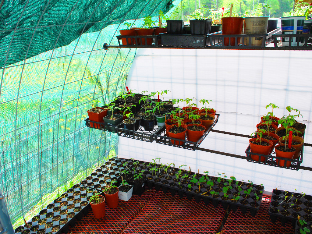 PortaPen Poultry Tractor - acclimation shelves